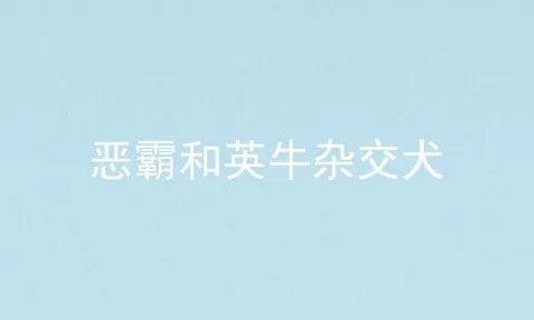 恶霸和英牛杂交犬