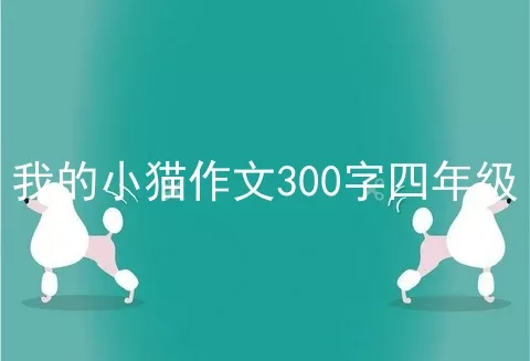 我的小猫作文300字四年级