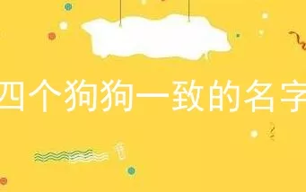 四个狗狗一致的名字