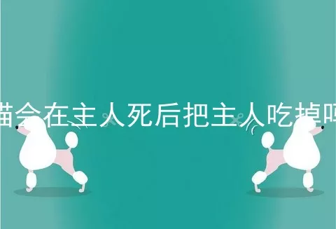 猫会在主人死后把主人吃掉吗