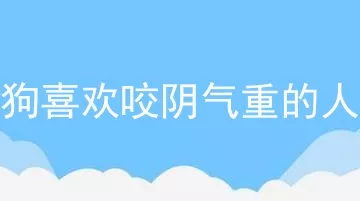 狗喜欢咬阴气重的人