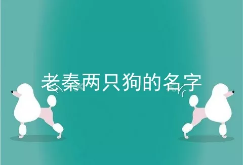 老秦两只狗的名字