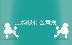 土狗是什么意思