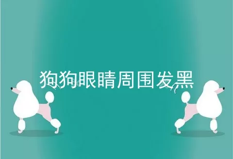 狗狗眼睛周围发黑