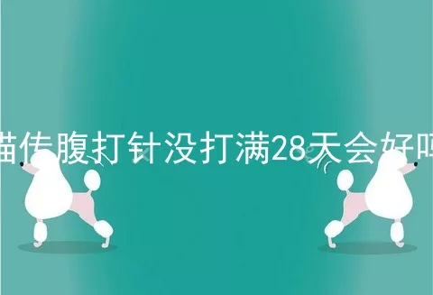 猫传腹打针没打满28天会好吗