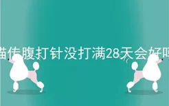 猫传腹打针没打满28天会好吗