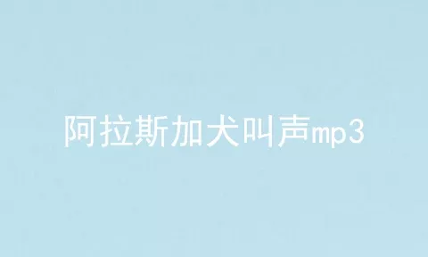 阿拉斯加犬叫声mp3