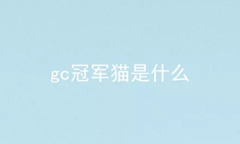 gc冠军猫是什么