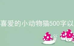 我喜爱的小动物猫500字以上