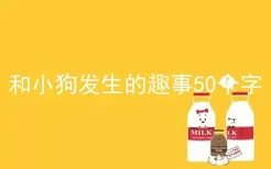 和小狗发生的趣事50个字