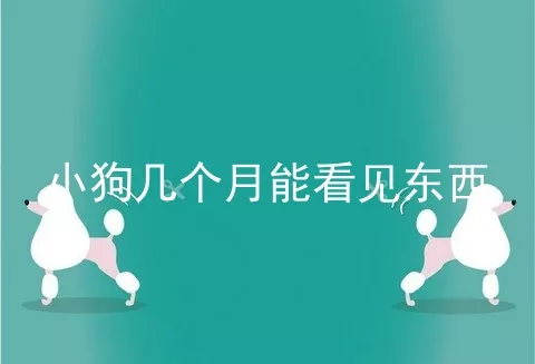 小狗几个月能看见东西