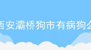 西安灞桥狗市有病狗么