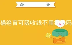 猫绝育可吸收线不用拆线吗