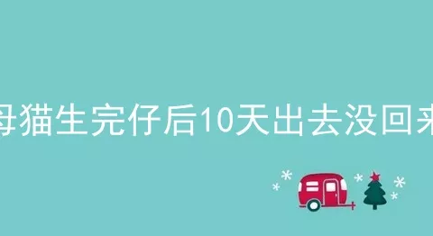 母猫生完仔后10天出去没回来