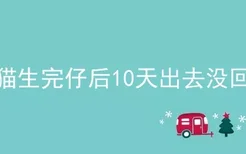 母猫生完仔后10天出去没回来