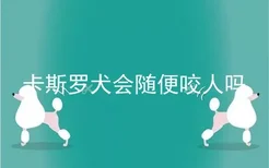 卡斯罗犬会随便咬人吗