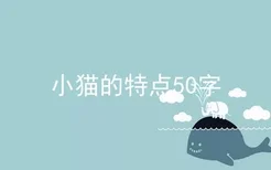 小猫的特点50字