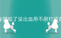 龙猫咬了没出血用不用打疫苗