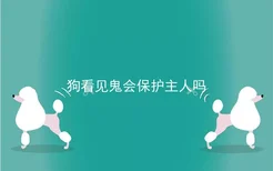 狗看见鬼会保护主人吗