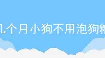 几个月小狗不用泡狗粮