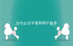 为什么白手套狗狗不能养