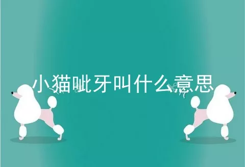 小猫呲牙叫什么意思