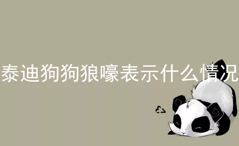 泰迪狗狗狼嚎表示什么情况