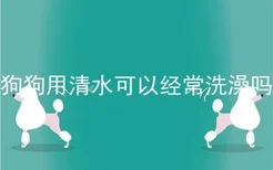 狗狗用清水可以经常洗澡吗