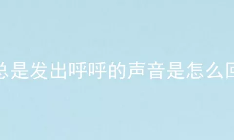 猫总是发出呼呼的声音是怎么回事