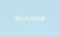 猫50天抱回家