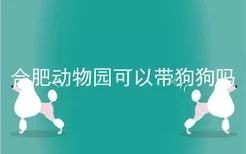 合肥动物园可以带狗狗吗