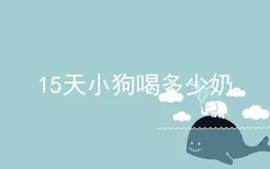 15天小狗喝多少奶