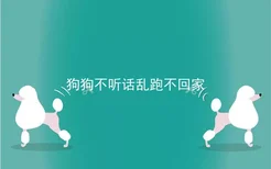 狗狗不听话乱跑不回家