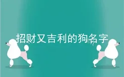 招财又吉利的狗名字