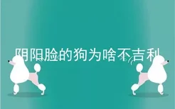 阴阳脸的狗为啥不吉利