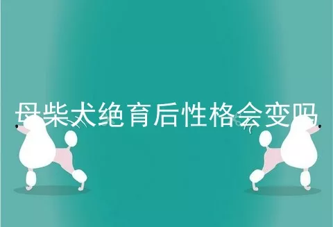 母柴犬绝育后性格会变吗