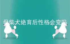 母柴犬绝育后性格会变吗