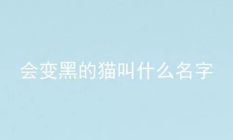 会变黑的猫叫什么名字