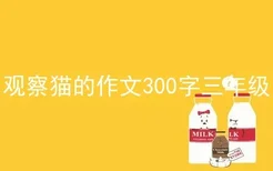 观察猫的作文300字三年级