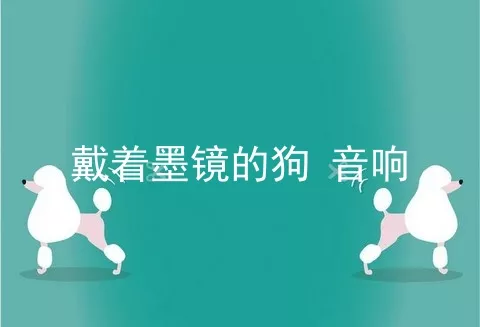 戴着墨镜的狗 音响