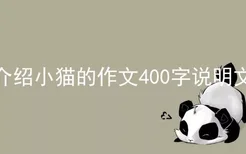 介绍小猫的作文400字说明文