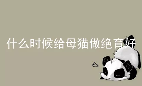 什么时候给母猫做绝育好