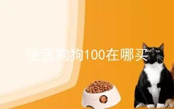 便宜狗狗100在哪买