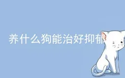 养什么狗能治好抑郁症