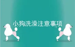 小狗洗澡注意事项