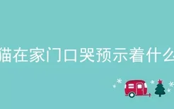 猫在家门口哭预示着什么