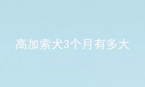 高加索犬3个月有多大