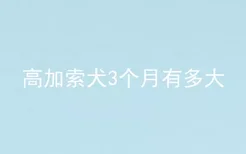 高加索犬3个月有多大