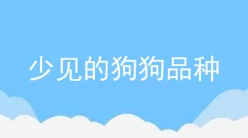 少见的狗狗品种