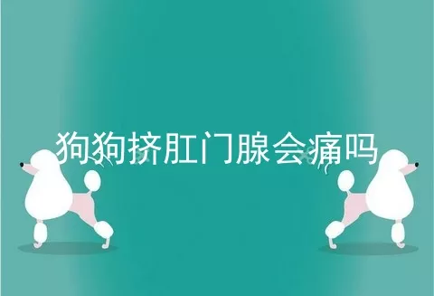 狗狗挤肛门腺会痛吗